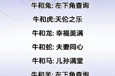 97年属牛女和狗男相配(97年牛女与狗男的契合度)