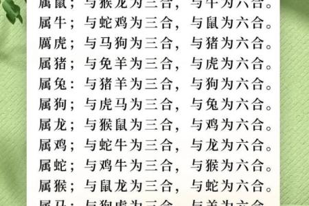 男鸡女属鼠相配(男属鼠女属鸡的配对关系)